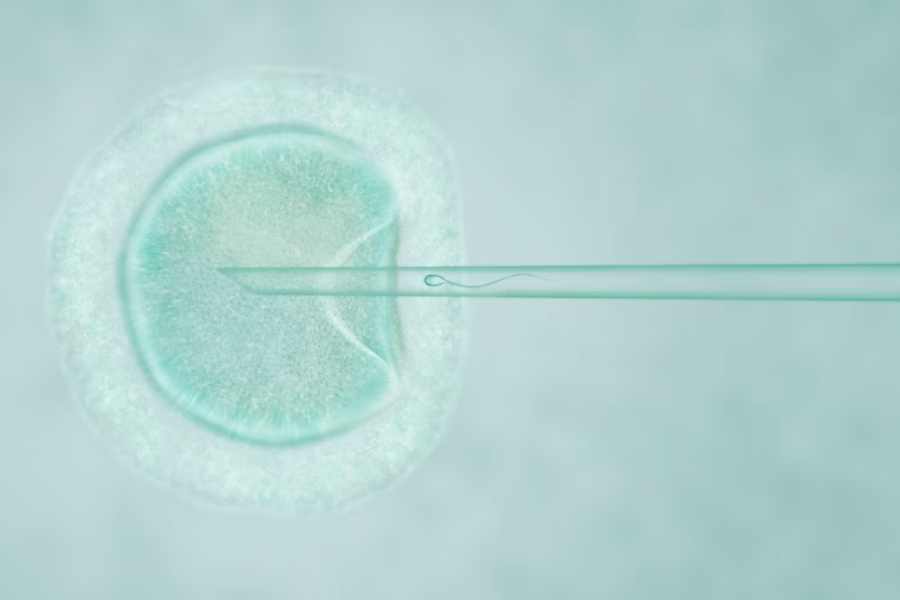 laser-assisted-hatching.jpg